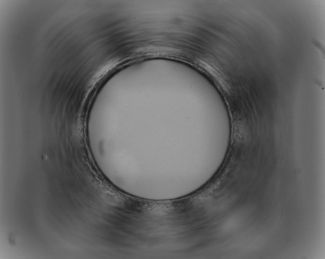 X0000090981074200708241358