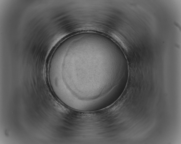 X0000090981076200708241358