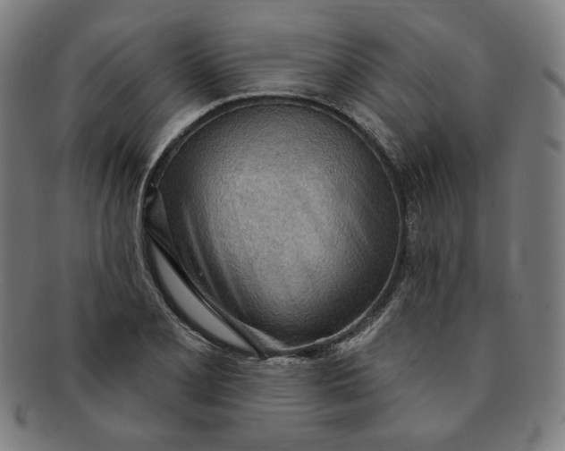 X0000090981077200708241358