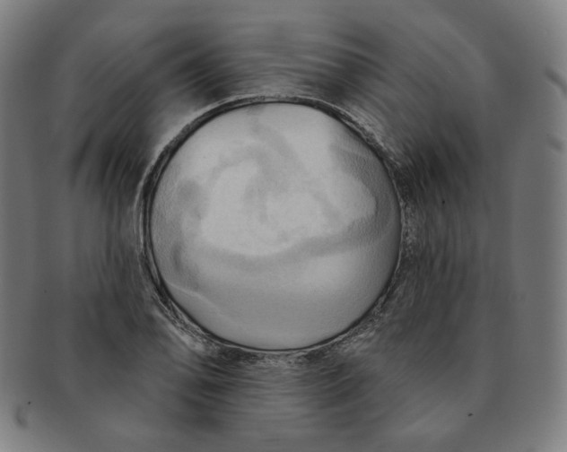X0000090981078200708241358