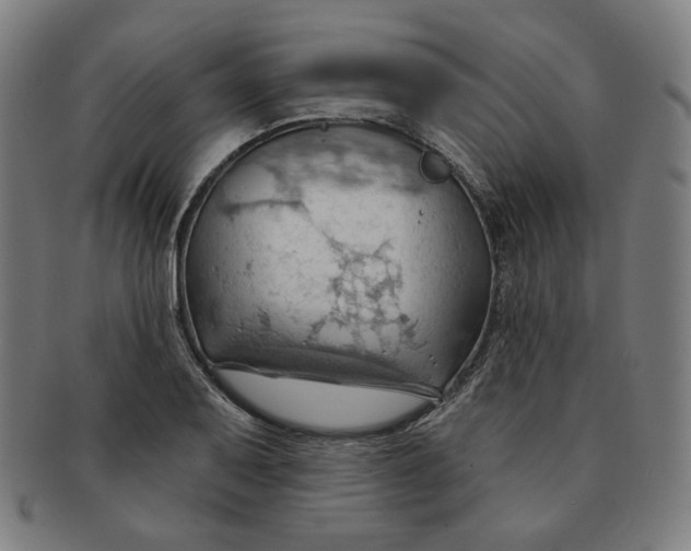 X0000090981079200708241358
