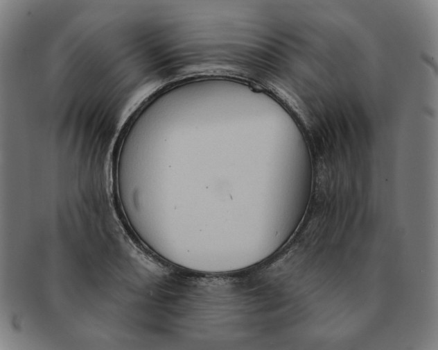 X0000090981082200708241357