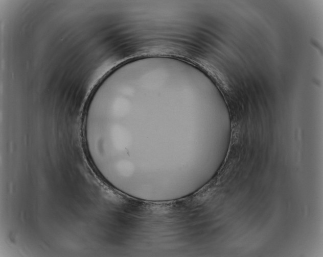 X0000090981086200708241357