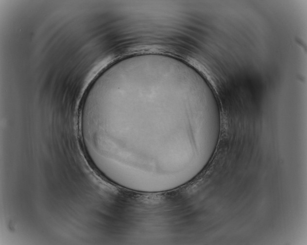 X0000090981090200708241357