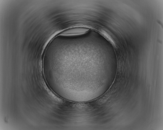 X0000090981092200708241357