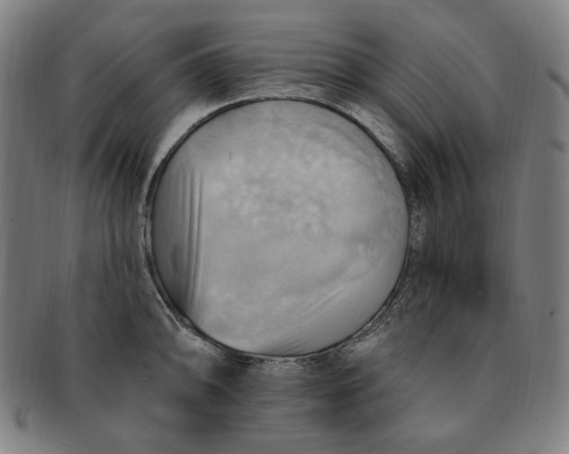 X0000090981094200708241357