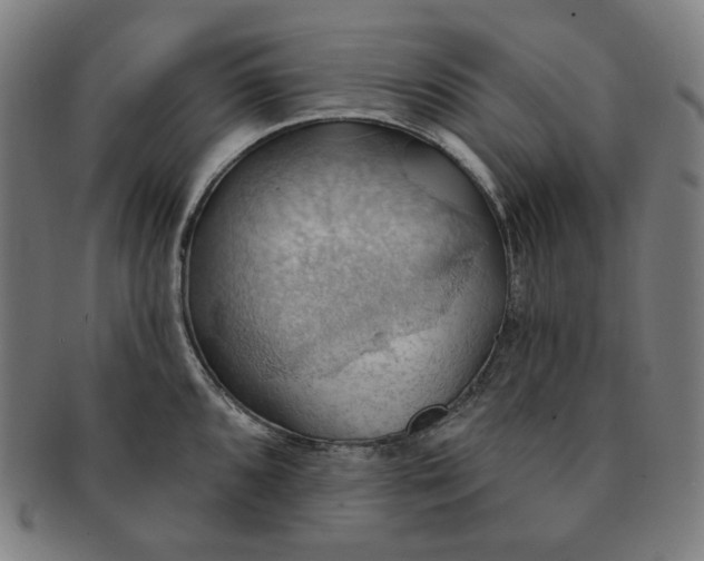 X0000090981096200708241357