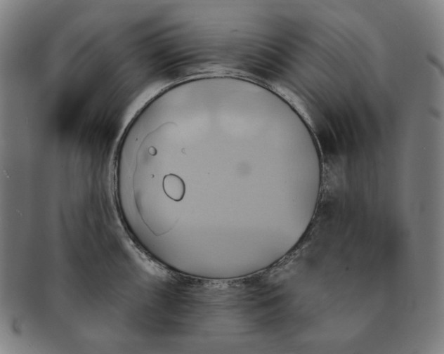 X0000090981098200708241357