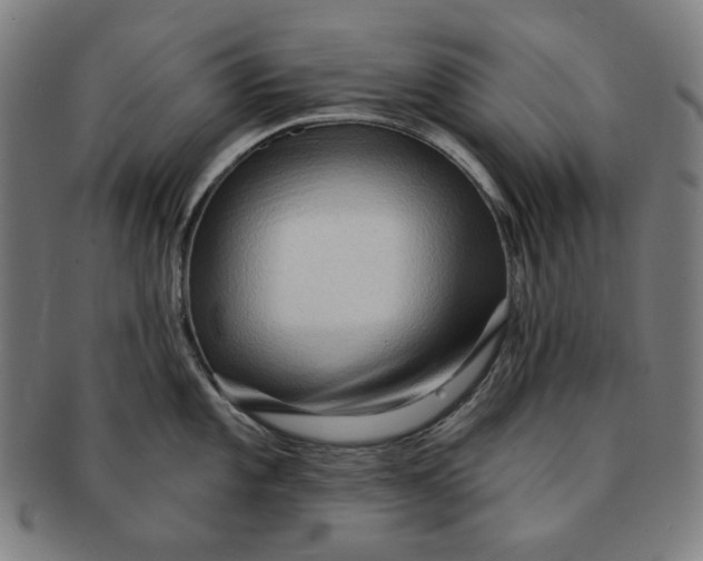 X0000090981101200708241357
