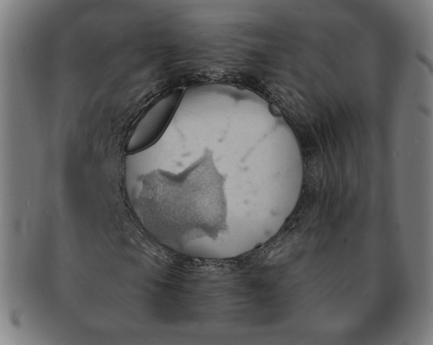 X0000090981105200708241356