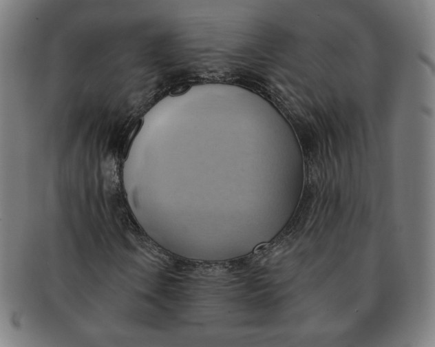 X0000090981106200708241357