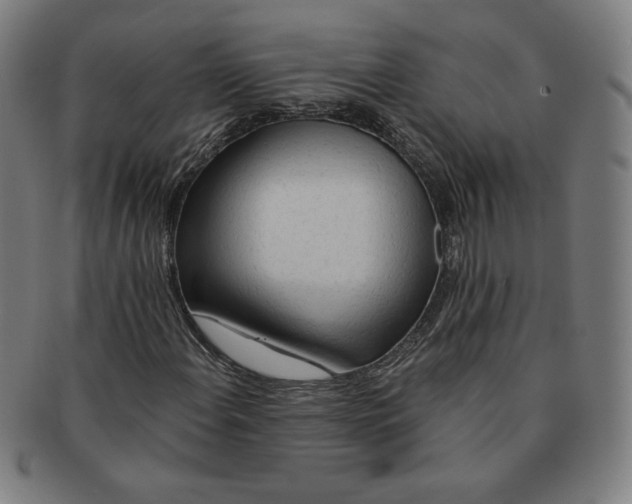 X0000090981108200708241357