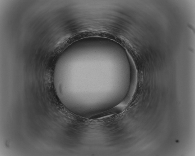 X0000090981110200708241357