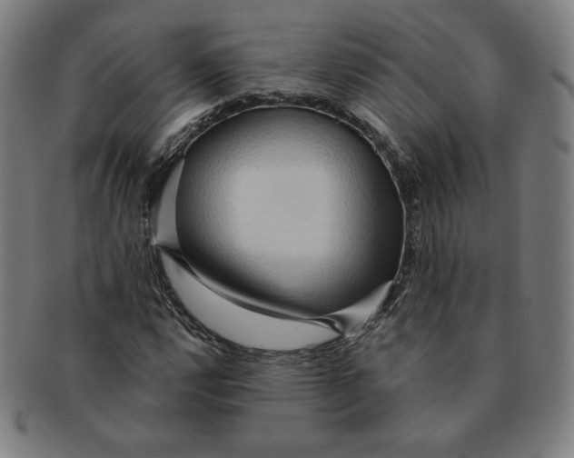X0000090981112200708241357