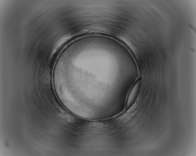 X0000090981115200708241357