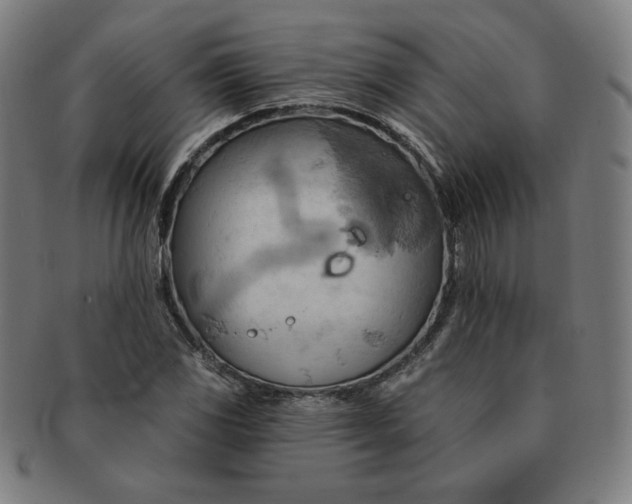 X0000090981117200708241357