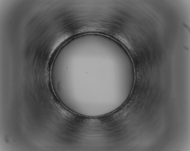 X0000090981119200708241357