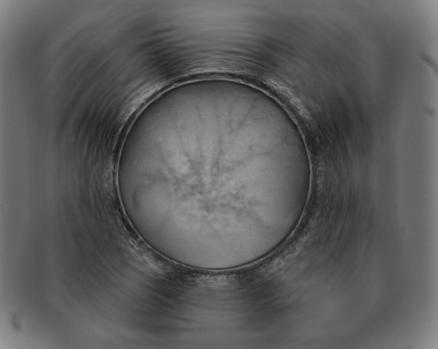 X0000090981121200708241357