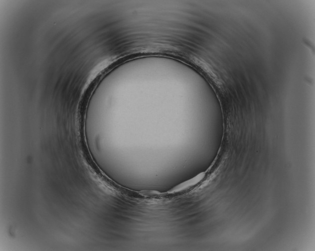 X0000090981122200708241357