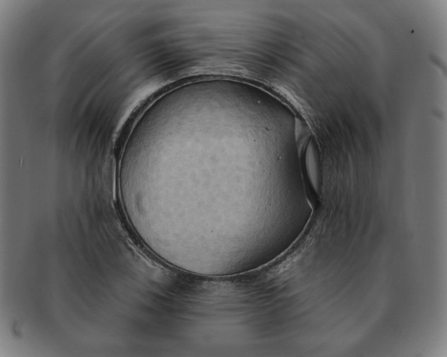 X0000090981123200708241357