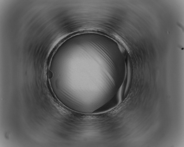 X0000090981124200708241357