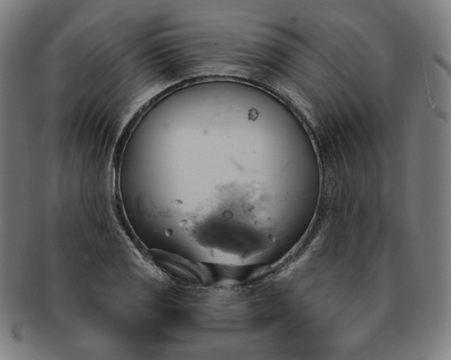 X0000090981125200708241357