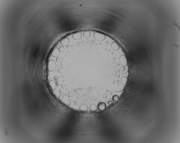 X0000090981126200708241357