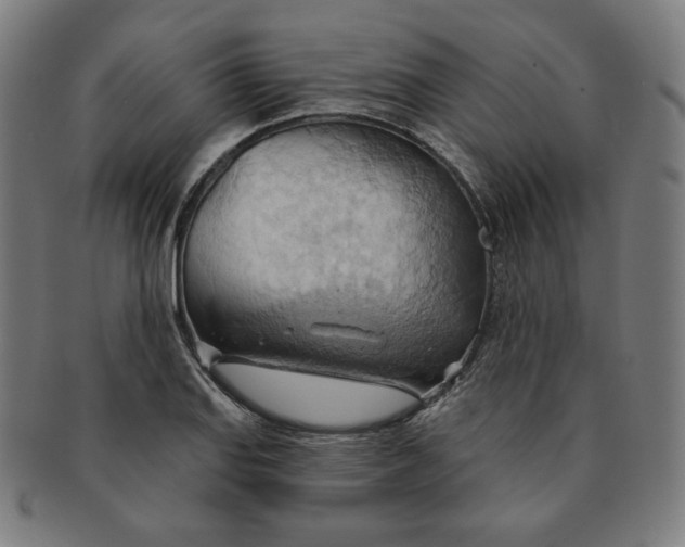 X0000090981127200708241357