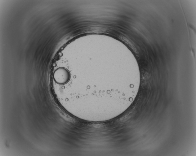 X0000090981130200708241357