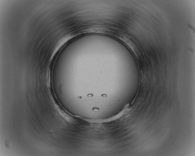 X0000090981131200708241357
