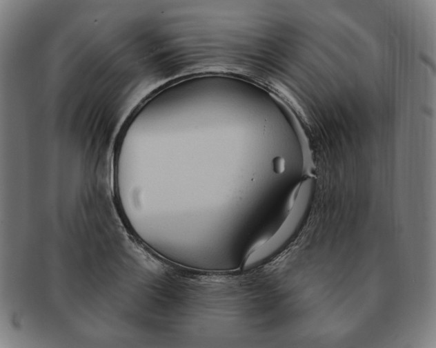 X0000090981132200708241357