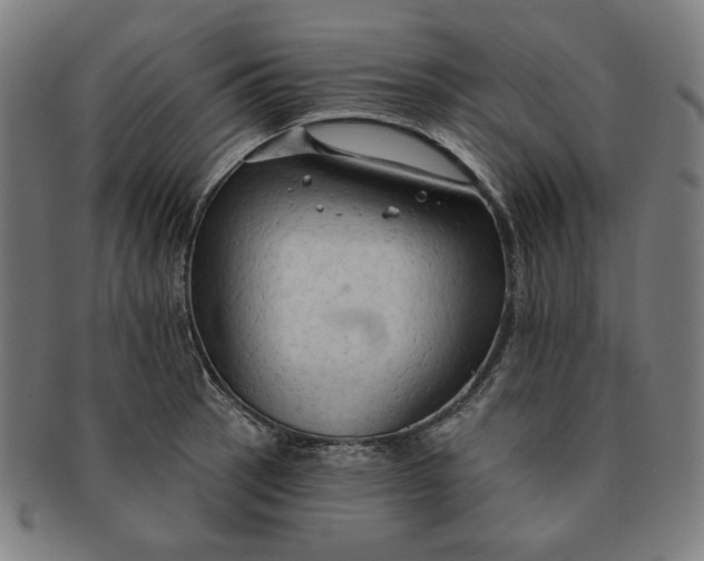 X0000090981137200708241357