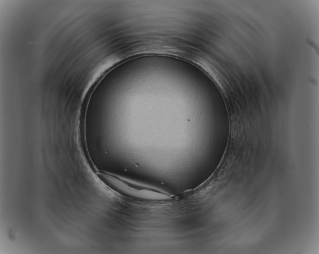 X0000090981139200708241357