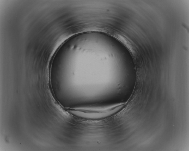 X0000090981140200708241357