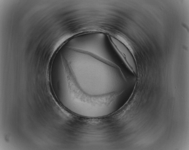 X0000090981141200708241357
