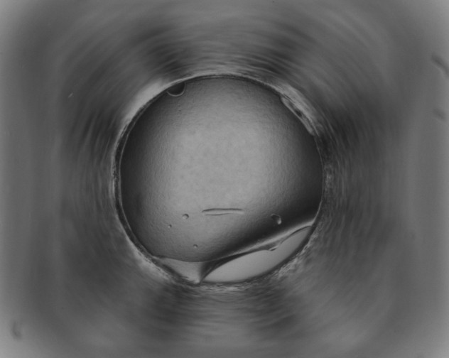 X0000090981143200708241357