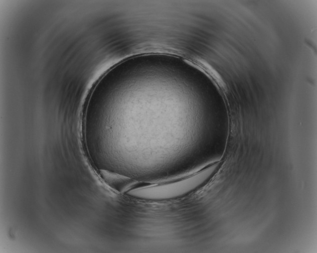X0000090981144200708241357