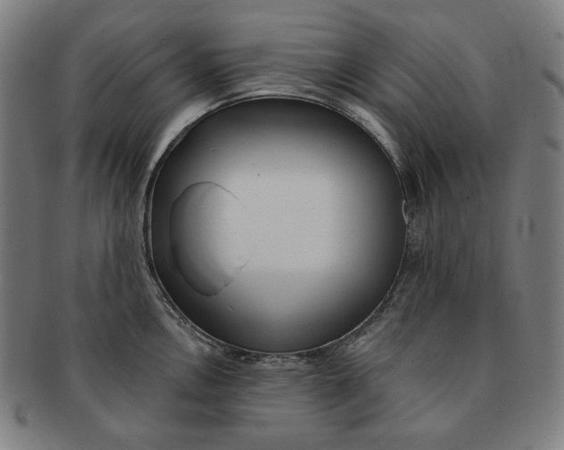 X0000090981146200708241357