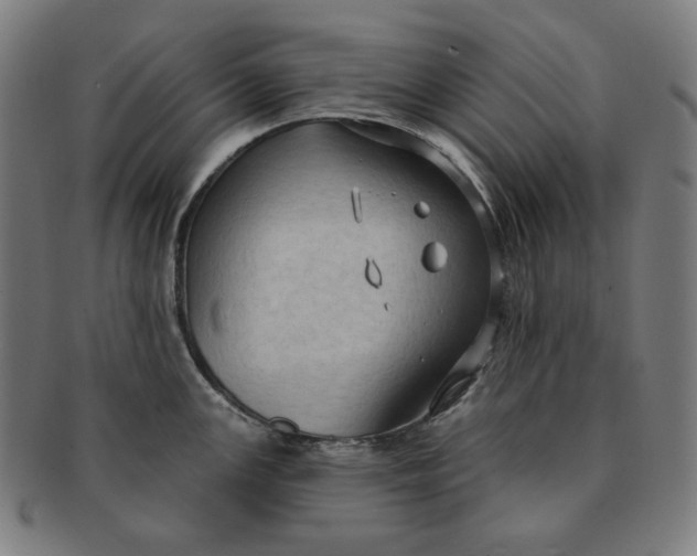 X0000090981147200708241357