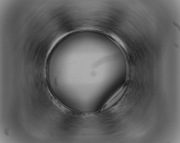 X0000090981148200708241357