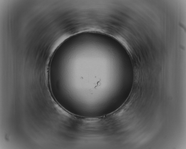 X0000090981151200708241357