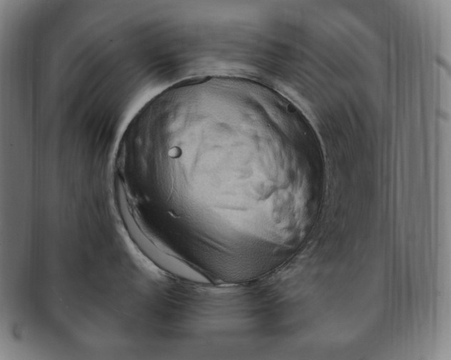 X0000090981152200708241357