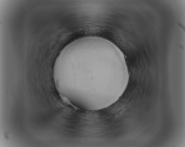 X0000090981153200708241356