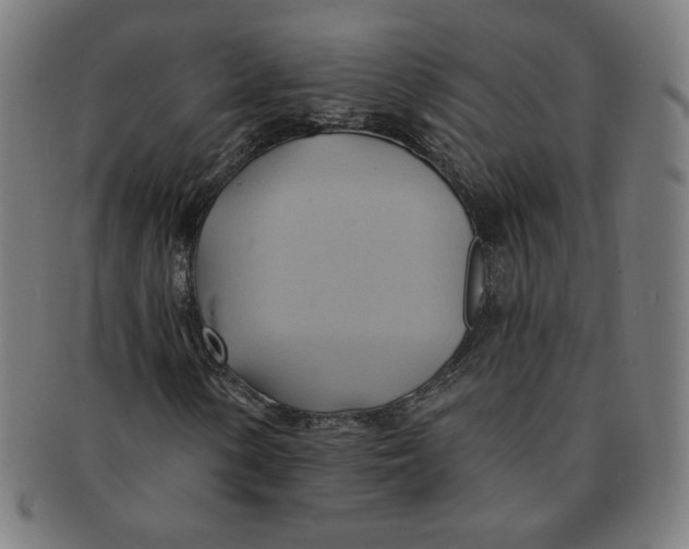 X0000090981154200708241356