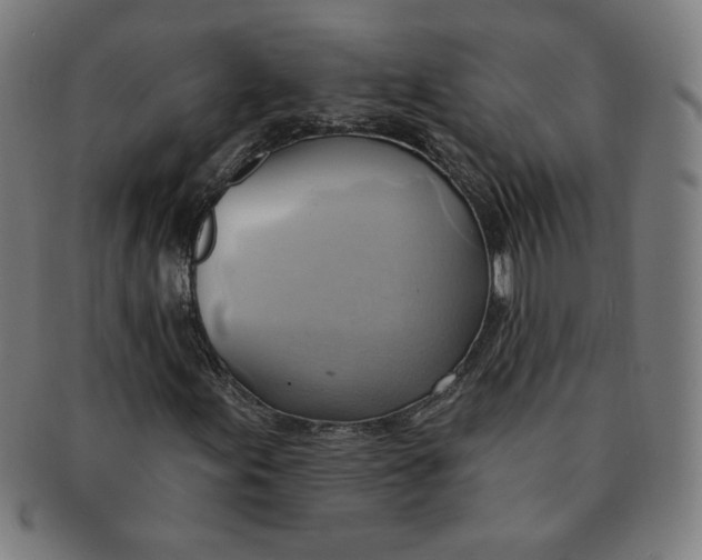 X0000090981155200708241356