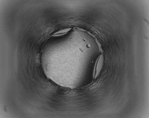 X0000090981156200708241356