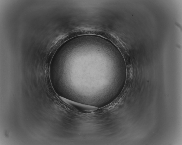 X0000090981157200708241356