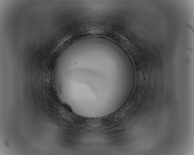 X0000090981158200708241356