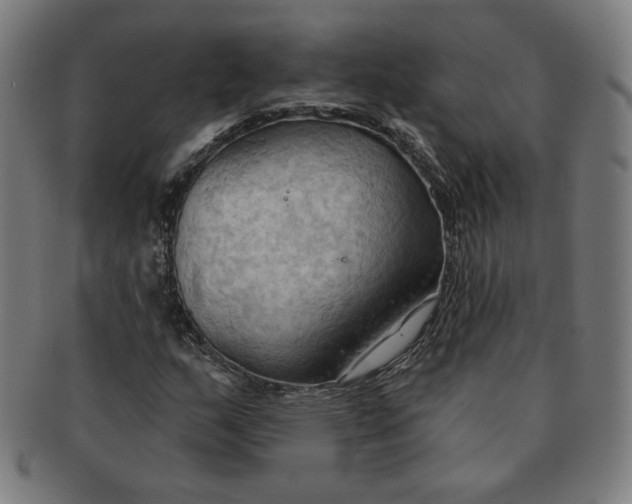 X0000090981159200708241356