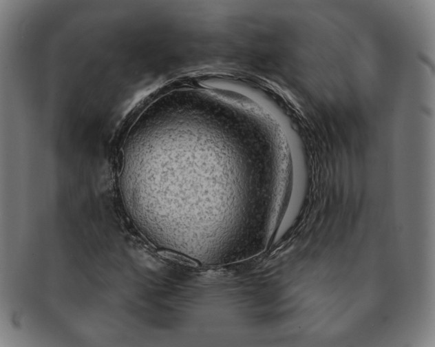 X0000090981160200708241356